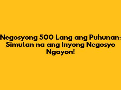 Negosyong 500 Lang ang Puhunan: Simulan na ang Inyong Negosyo Ngayon!