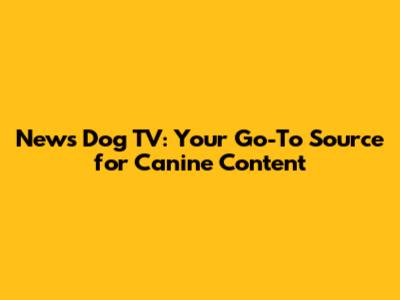 News Dog TV: Your Go-To Source for Canine Content