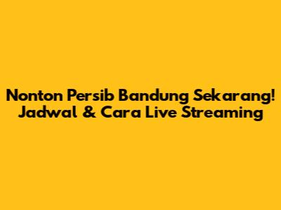 Nonton Persib Bandung Sekarang! Jadwal & Cara Live Streaming