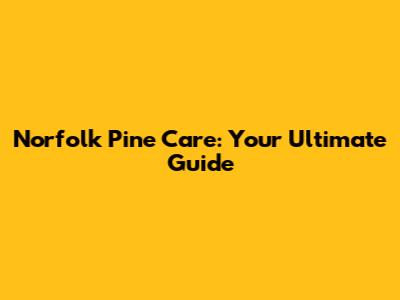 Norfolk Pine Care: Your Ultimate Guide
