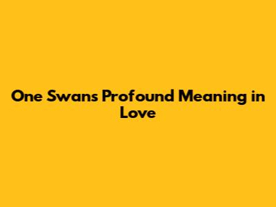 One Swan's Profound Meaning in Love