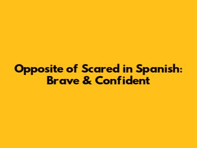 Opposite of Scared in Spanish: Brave & Confident