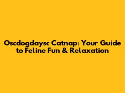 Oscdogdaysc Catnap: Your Guide to Feline Fun & Relaxation