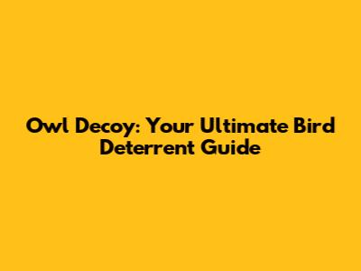 Owl Decoy: Your Ultimate Bird Deterrent Guide