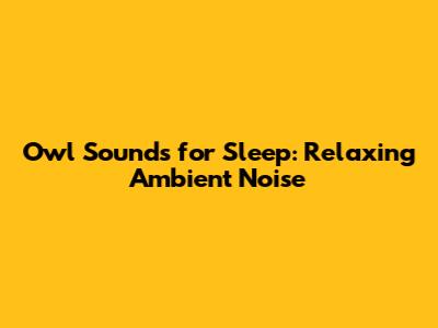 Owl Sounds for Sleep: Relaxing Ambient Noise