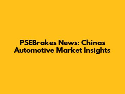 PSEBrakes News: China's Automotive Market Insights