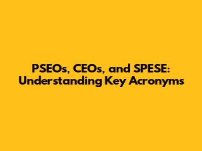 PSEOs, CEOs, and SPESE: Understanding Key Acronyms
