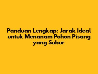 Panduan Lengkap: Jarak Ideal untuk Menanam Pohon Pisang yang Subur