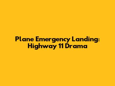 Plane Emergency Landing: Highway 11 Drama