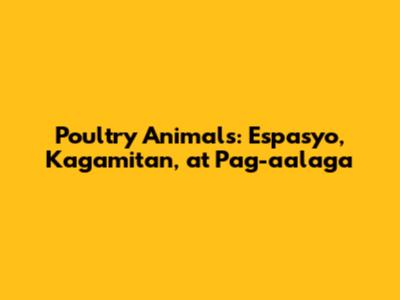 Poultry Animals: Espasyo, Kagamitan, at Pag-aalaga