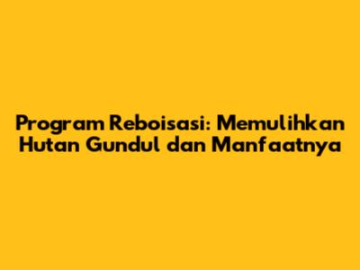 Program Reboisasi: Memulihkan Hutan Gundul dan Manfaatnya