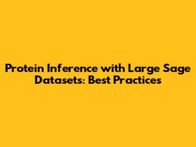 Protein Inference with Large Sage Datasets: Best Practices