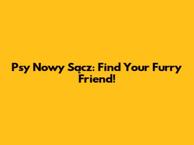 Psy Nowy Sącz: Find Your Furry Friend!