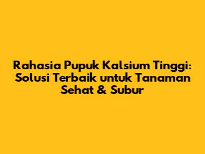 Rahasia Pupuk Kalsium Tinggi: Solusi Terbaik untuk Tanaman Sehat & Subur