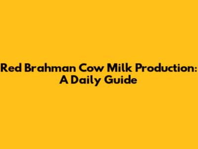 Red Brahman Cow Milk Production: A Daily Guide