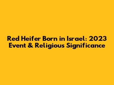 Red Heifer Born in Israel: 2023 Event & Religious Significance