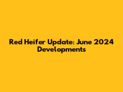 Red Heifer Update: June 2024 Developments