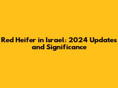 Red Heifer in Israel: 2024 Updates and Significance