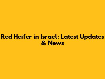 Red Heifer in Israel: Latest Updates & News