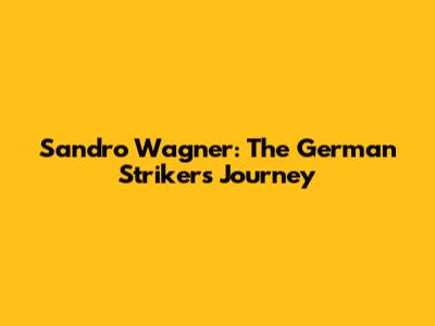 Sandro Wagner: The German Striker's Journey
