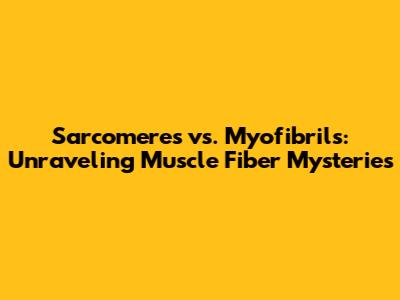 Sarcomeres vs. Myofibrils: Unraveling Muscle Fiber Mysteries