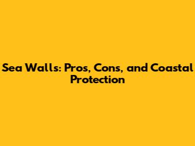 Sea Walls: Pros, Cons, and Coastal Protection