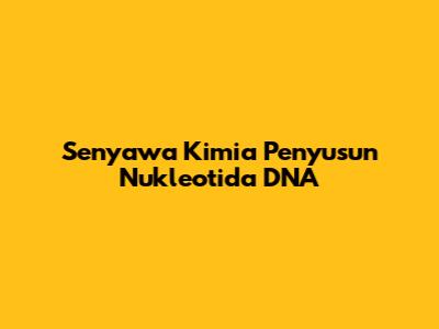 Senyawa Kimia Penyusun Nukleotida DNA