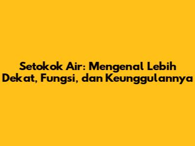 Setokok Air: Mengenal Lebih Dekat, Fungsi, dan Keunggulannya
