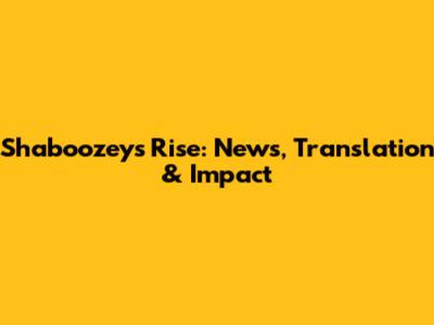 Shaboozey's Rise: News, Translation & Impact