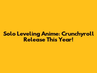 Solo Leveling Anime: Crunchyroll Release This Year!