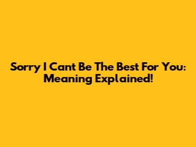 Sorry I Can't Be The Best For You: Meaning Explained!