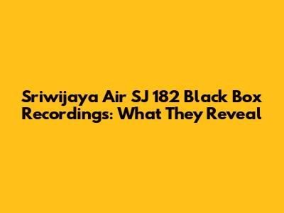 Sriwijaya Air SJ 182 Black Box Recordings: What They Reveal