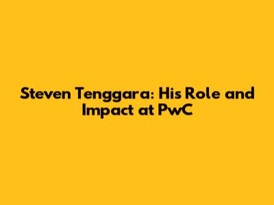 Steven Tenggara: His Role and Impact at PwC