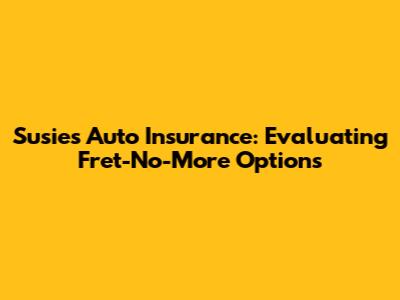 Susie's Auto Insurance: Evaluating Fret-No-More Options