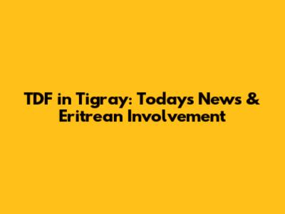 TDF in Tigray: Today's News & Eritrean Involvement