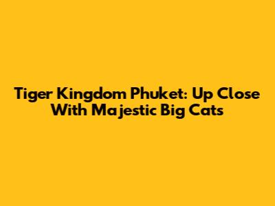 Tiger Kingdom Phuket: Up Close With Majestic Big Cats