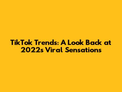 TikTok Trends: A Look Back at 2022's Viral Sensations