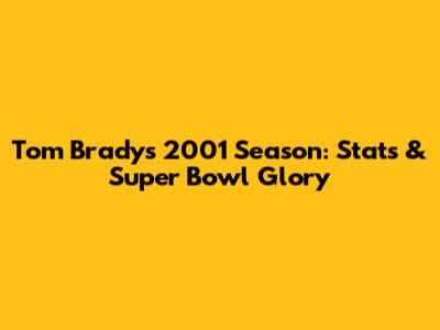 Tom Brady's 2001 Season: Stats & Super Bowl Glory