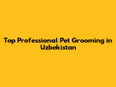 Top Professional Pet Grooming in Uzbekistan