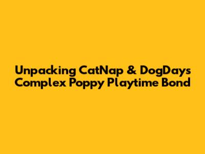 Unpacking CatNap & DogDay's Complex Poppy Playtime Bond
