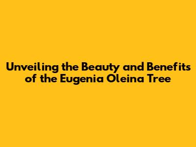 Unveiling the Beauty and Benefits of the **Eugenia Oleina Tree**