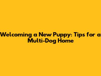 Welcoming a New Puppy: Tips for a Multi-Dog Home