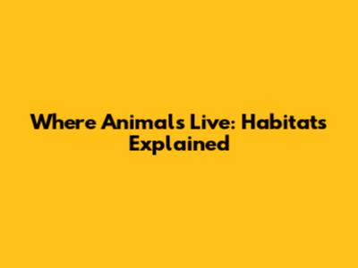 Where Animals Live: Habitats Explained