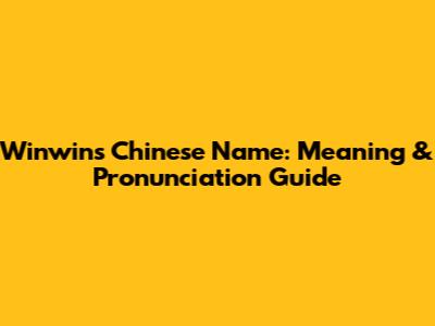 Winwin's Chinese Name: Meaning & Pronunciation Guide