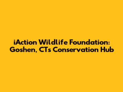 iAction Wildlife Foundation: Goshen, CT's Conservation Hub